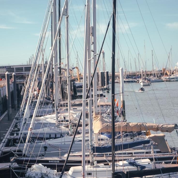 Sea adventure snapshot